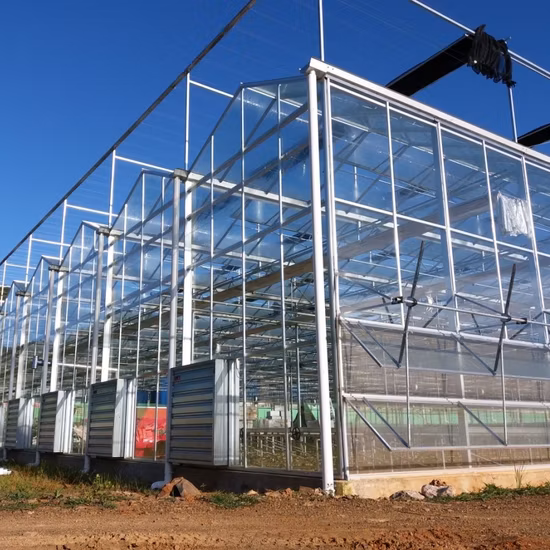 Serra di alta qualità zincata