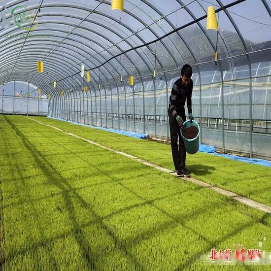 Seminatore per serra commerciale 4X8 FT Letto per vivaio Vassoio di flusso e riflusso Sistema di banco di rotolamento mobile per coltura idroponica Tavolo di inondazione
