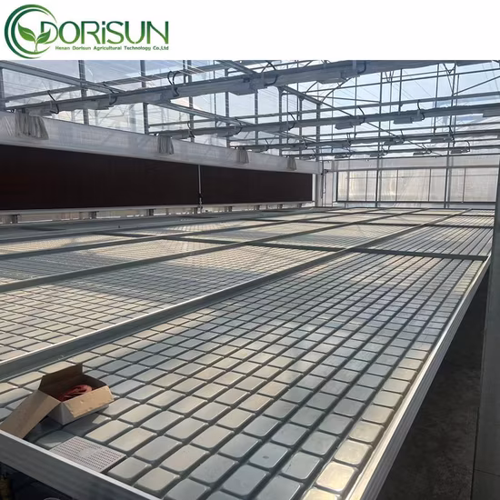 Panche per la coltivazione del tavolo rotante per serra e sistema di flusso a flusso riflusso per il letto di semina
