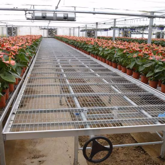 Seminatore per serra commerciale 4X8 FT Letto per vivaio Vassoio di flusso e riflusso Sistema di banco di rotolamento mobile per coltura idroponica Tavolo di inondazione