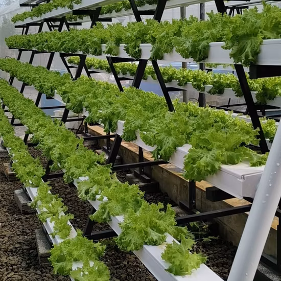 Sistemi di coltivazione a flusso e riflusso di piante di coltivazione idroponica per piantagioni agricole Sistema multistrato Multi